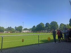 Feld