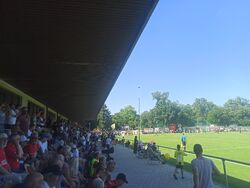 Tribüne