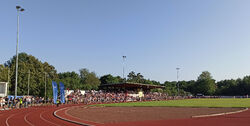 Tribüne