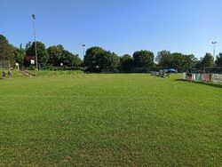 Stadion