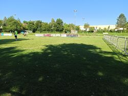 Feld