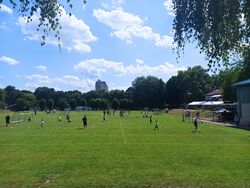 F-Jugend-Turnier auf Platz 1