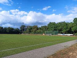Feld