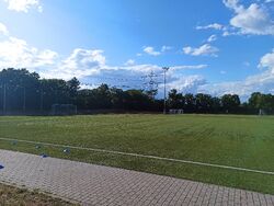 Feld