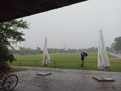 Regen