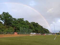 Regenbogen
