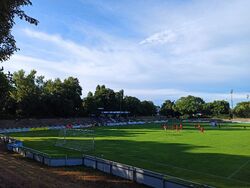 Tribüne