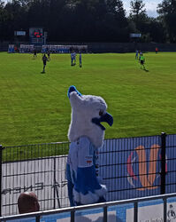 Maskottchen
