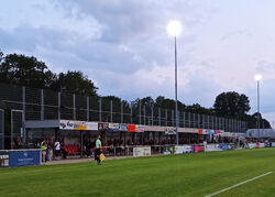 Tribüne