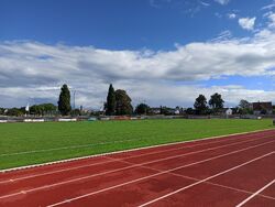 Feld