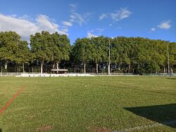Feld