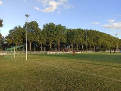 Spiel