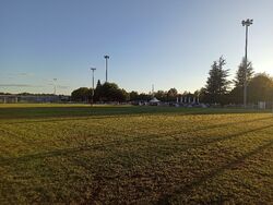 Feld