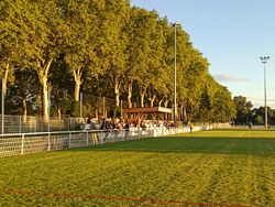 Tribüne