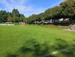 Feld