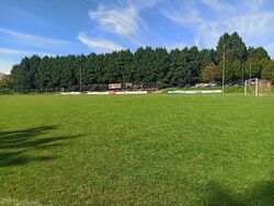 Feld