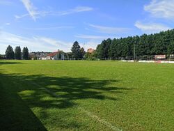 Feld