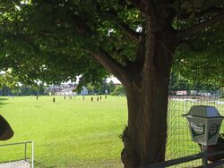 Baum