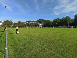 Feld