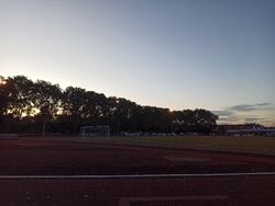 Feld