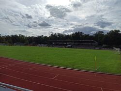 Feld