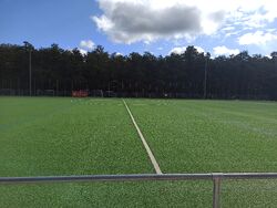 Feld