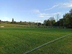 Feld