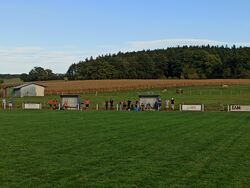 Spielerbänke