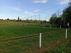 Feld