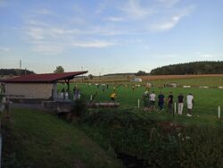 Tribüne