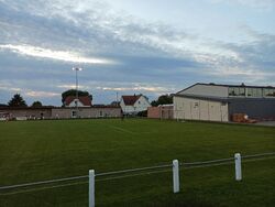 Feld