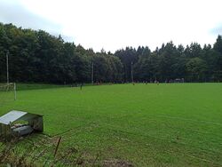 Feld
