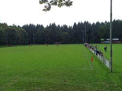 Feld