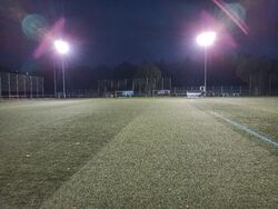 Feld