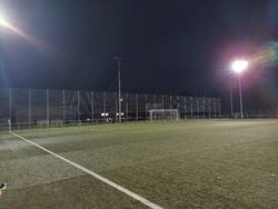 Feld