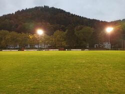 Feld