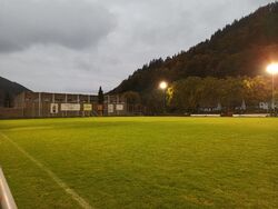 Feld