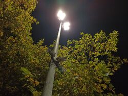 Flutlicht