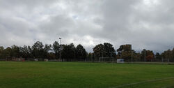 Feld