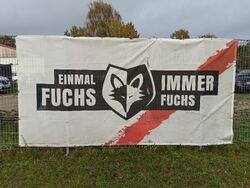 Immer Fuchs
