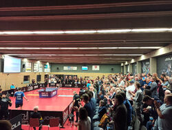 Tiago Apolonia und Vladimir Sidorenko