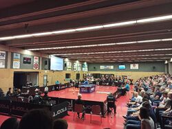 Tiago Apolonia und Vladimir Sidorenko