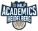 Academics Heidelberg