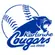 Karlsruhe Cougars